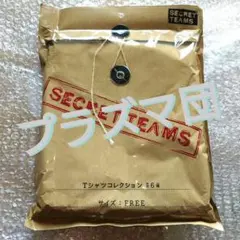 【なーな様専用】プラズマ団 Tシャツ 【SECRET TEAMS】