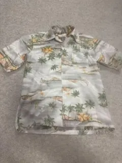 Item thumbnail for item e765bd2b-1610-4d3d-9f5c-290923a027f3