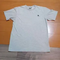 THE NORTH FACE 半袖Tシャツ グレー
