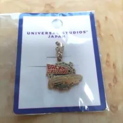 ユニバ　バック・トゥ・ザ・フューチャー キーホルダー　USJのサムネイル