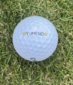 政田夢乃選手ネームボールのサムネイル