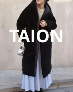 TAION ノーリーズ リバーシブル ダウンコート