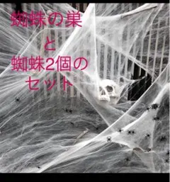 蜘蛛の巣　ハロウィン　飾り　スパイダー　インテリア　グッズ　パーティー　新品のサムネイル