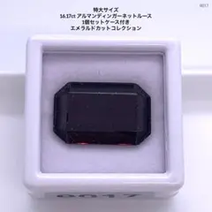 特大サイズ 16.17ct アルマンディンガーネットルース 1個セットケース付き