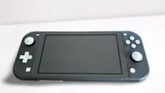 2025年最新】nintendo switch lite グレーの人気アイテム - メルカリ