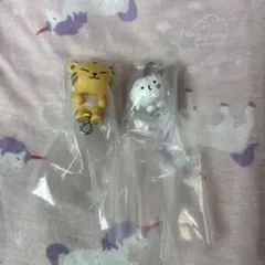 MINITEEN つまんでつなげてますこっと ホシ ウジ カニカン 2点
