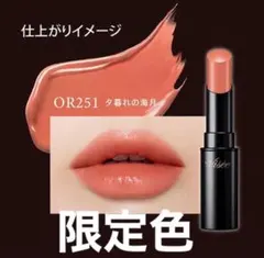 限定色　Visée ヴィセ　ネンマクフェイクルージュ OR251 夕暮れの海月