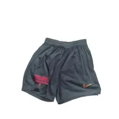 NIKEカレッジロゴ USC トロージャンズ メッシュショーツ バスケY2K Mのサムネイル