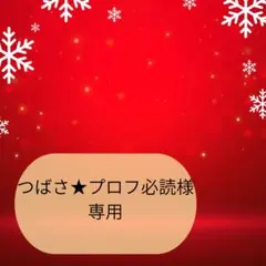 2025年最新】プロフ必読の人気アイテム - メルカリ
