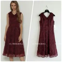 【GRACE CLASS】新品未使用　定価5.3万　オーガン刺繍ドレスワンピース