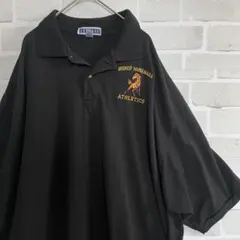 Jerzees ジャージーズ ポロシャツ 3XL 刺繍ロゴのサムネイル