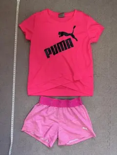 【キッズ】PUMA ピンク Tシャツ ショートパンツ セット 116