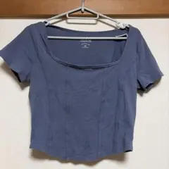 Hollister ホリスター　Mサイズ ダークブルー Tシャツのサムネイル