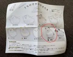 うちの子のけだまだま犬　#C-plaペテモ限定 限定アソート　黒柴