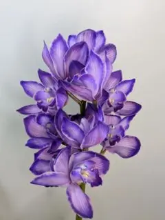 のん様 リクエスト 2点 まとめ商品