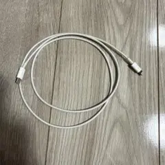 Apple 純正　ホワイト Lightningケーブル type c