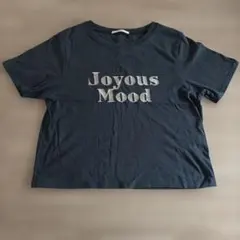 Joyous Mood ロゴ刺繍 Tシャツ Fのサムネイル