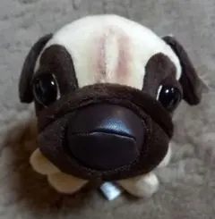 THE DOG　パグ　ぬいぐるみ