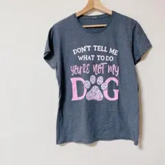 プリントTシャツ 半袖 グレー