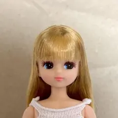 リカちゃん　ちいさなクローゼット　箱入り　リカちゃんキャッスル