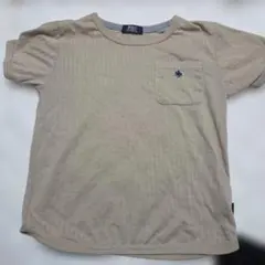 POLO キッズ Tシャツ ベージュ 120