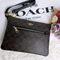 新品未使用☆COACHコーチ ハンドバッグ ポーチ ブラウン ブラック