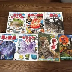 小学館の図鑑NＥＯ等　図鑑7冊セット　DVD付き