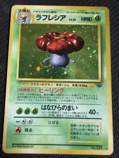 ポケモンカード 旧裏面 ラフレシア