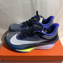 ナイキ ズーム フライ 6 メンズ29.0cm 新品未使用箱あり