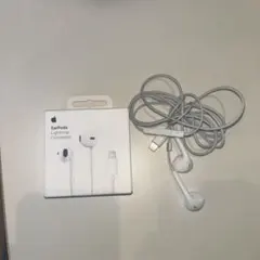 Earpods lightningケーブル