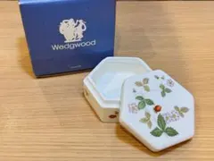 Item thumbnail for item 9ec6df64-328f-41b8-a085-40ae68e81352