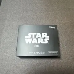 STAR WARS ピンバッジ 2026のサムネイル
