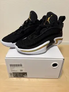 Item thumbnail for item 831b8921-6545-48aa-a520-94e523db1491