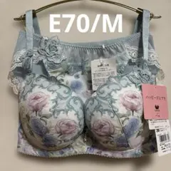 E70 ワコール パルファージュ パーソナルフィットプラス ブラ&ショーツ