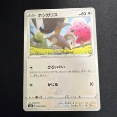 2026年最新】ホシガリスの人気アイテム - メルカリ