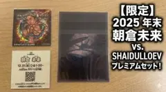 朝倉未来 RIZIN カード シール RIZIN 限定 レア 格闘技グッズのサムネイル