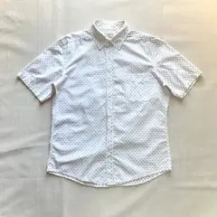 Item thumbnail for item 09f525f8-89a4-4898-94f3-fe9670378ab9