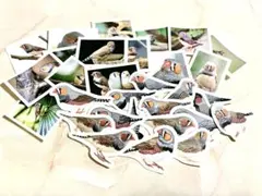 Item thumbnail for item 3084d111-77aa-4624-83ad-7f4f066347a8