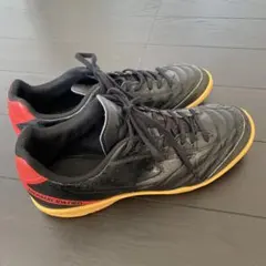 モナルシーダ 25.5