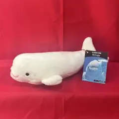 名古屋港水族館 ベルーガ ぬいぐるみ