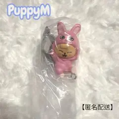 Item thumbnail for item c1c56401-cf4d-412a-b3ac-bf4c5e5842fa