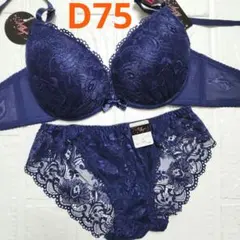 【新品未使用】格安！ブラショーツセット D75 1603 ネイビー 総レース