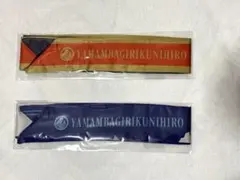 Item thumbnail for item 137b08e0-f18e-4096-b732-928cc5e496a0