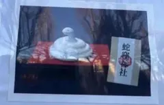 2026年最新】蛇窪神社 置物の人気アイテム - メルカリ