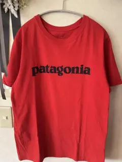 美品 patagonia ロゴ Tシャツ レッド　メンズサイズS