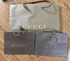 GUCCI ショップ袋セット 大小