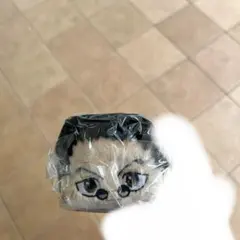 ポテコロ　　レオリオのサムネイル