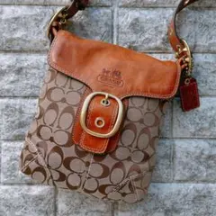 Item thumbnail for item ac7a54c8-782d-420a-a790-1428425b441e