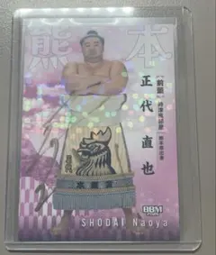 大相撲 平幕 藤ノ川関 直筆サインカード - メルカリ