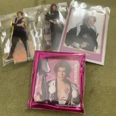 ミュージカル刀剣乱舞 蜻蛉切 アクスタ　ランダムチェキ　缶バッジ